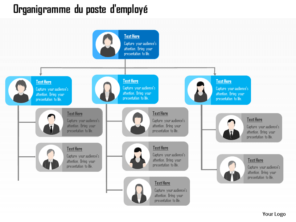 Organigramme dynamique de l'organisation